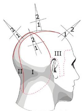 Ilustracja do pytania 24