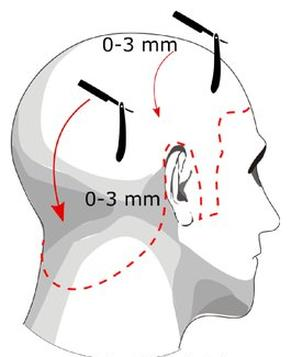 Ilustracja do pytania 10