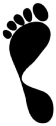 Ilustracja do pytania 40