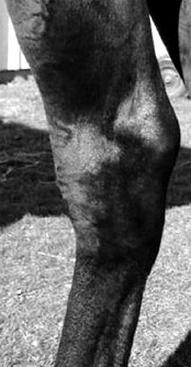 Ilustracja do pytania 15