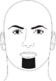 Ilustracja do pytania 23