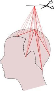 Ilustracja do pytania 23