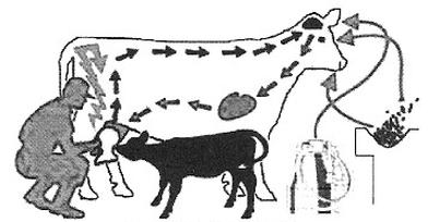 Ilustracja do pytania