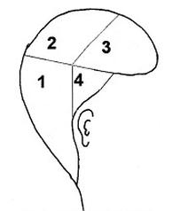 Ilustracja do pytania 1