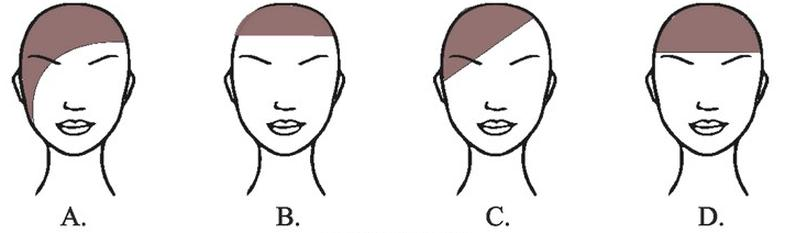 Ilustracja do pytania 13