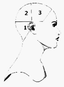 Ilustracja do pytania 37