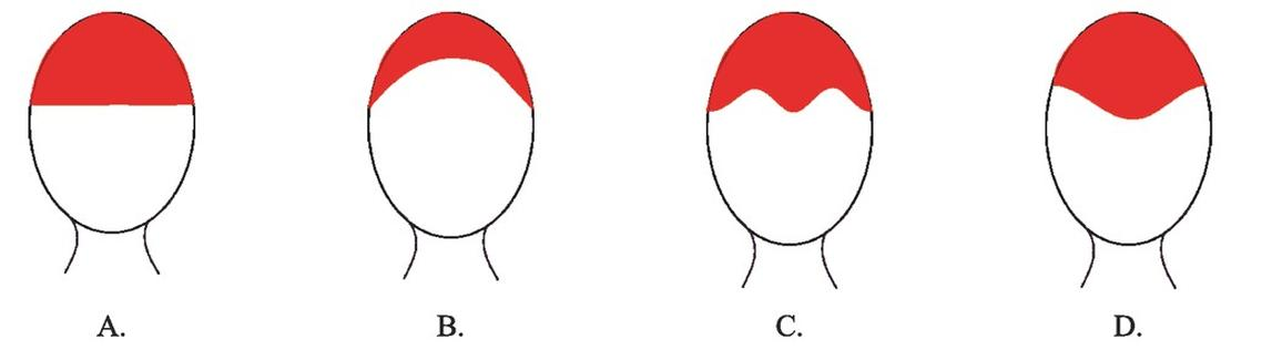 Ilustracja do pytania 7