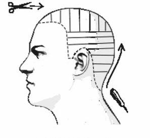 Ilustracja do pytania 3