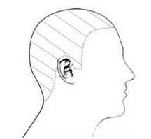 Ilustracja do pytania