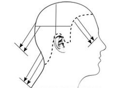 Ilustracja do pytania 11