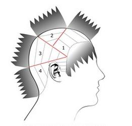 Ilustracja do pytania 24