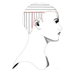 Ilustracja do pytania 1