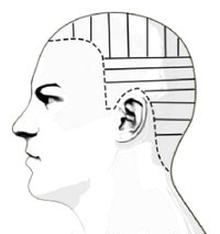 Ilustracja do pytania