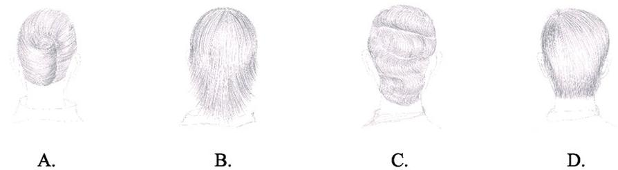 Ilustracja do pytania 23