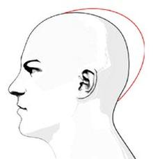 Ilustracja do pytania