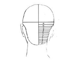 Ilustracja do pytania