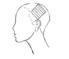 Ilustracja do pytania 38