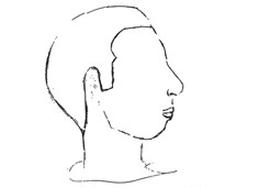 Ilustracja do pytania 28