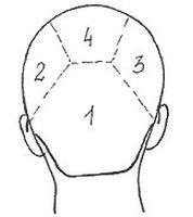 Ilustracja do pytania