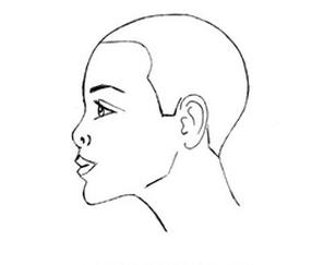 Ilustracja do pytania