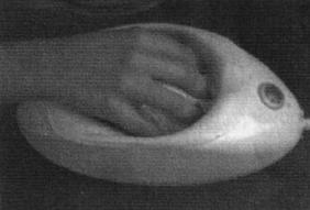 Ilustracja do pytania 1