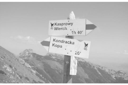 Ilustracja do pytania