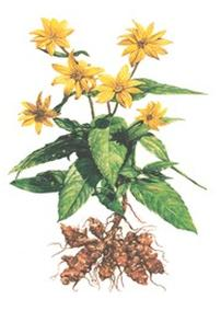 Ilustracja do pytania 6