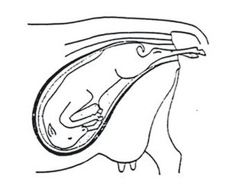 Ilustracja do pytania