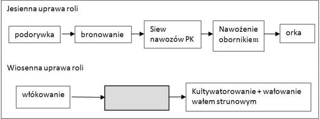 Ilustracja do pytania 28