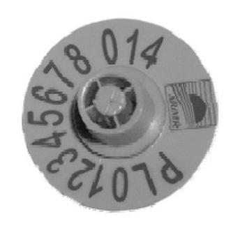 Ilustracja do pytania