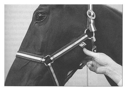 Ilustracja do pytania 40