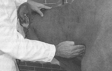 Ilustracja do pytania