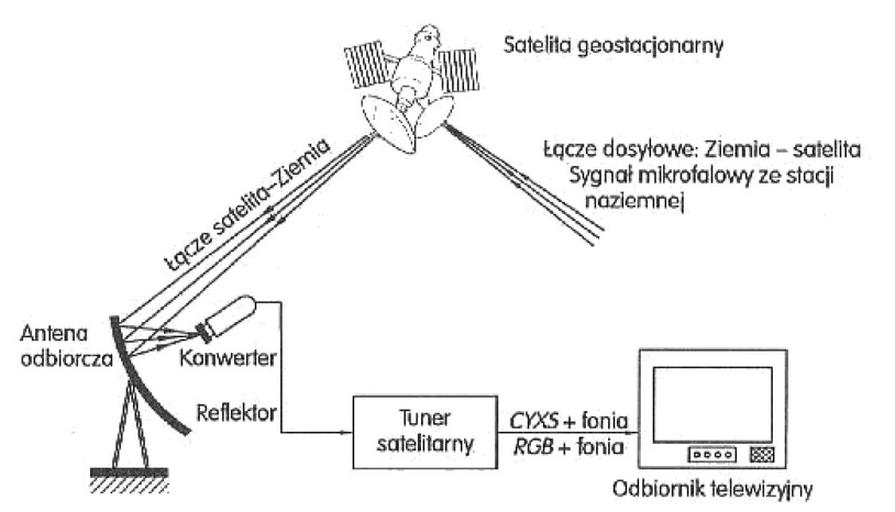 Ilustracja do pytania