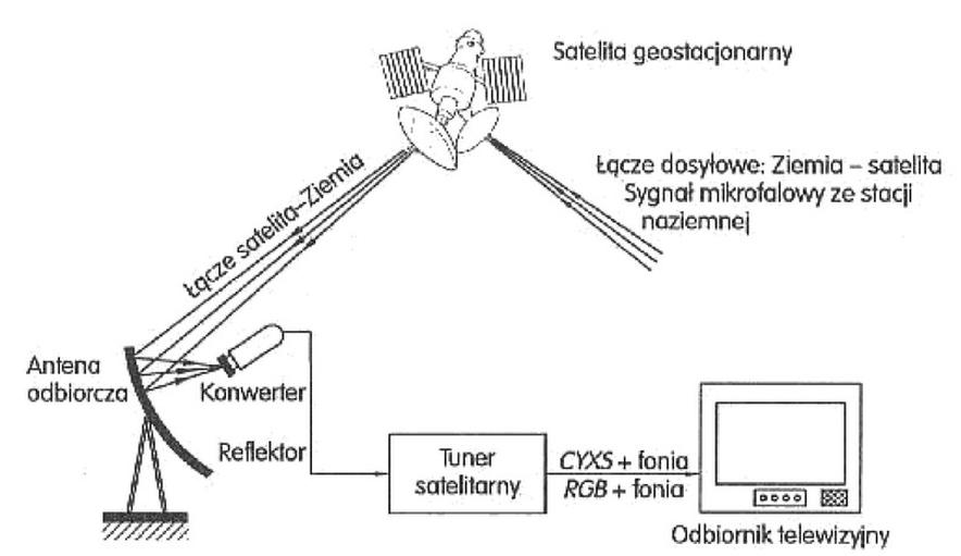 Ilustracja do pytania 37