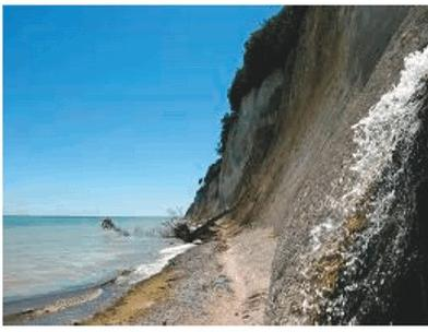 Ilustracja do pytania