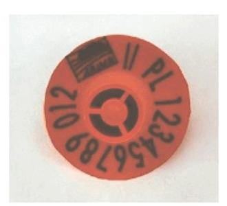 Ilustracja do pytania