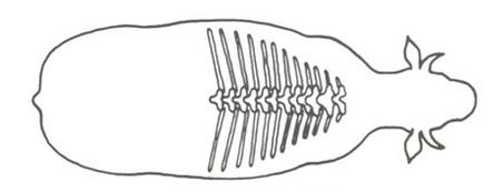 Ilustracja do pytania