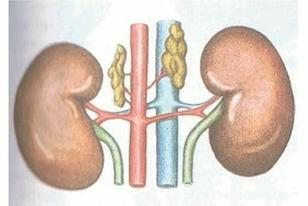 Ilustracja do pytania 40
