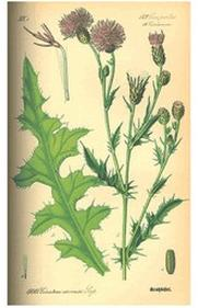 Ilustracja do pytania