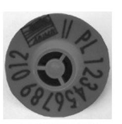 Ilustracja do pytania