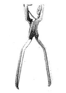 Ilustracja do pytania