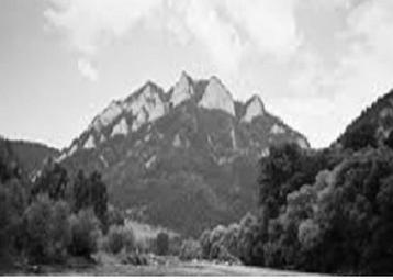 Ilustracja do pytania