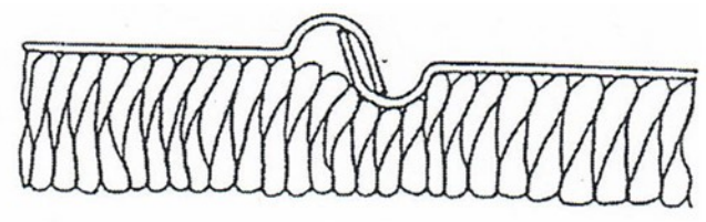 Ilustracja do odpowiedzi D