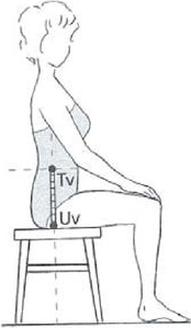 Ilustracja do pytania 20