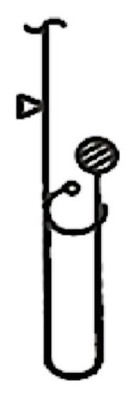 Ilustracja do pytania