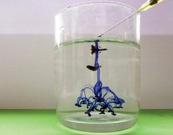 Ilustracja do pytania 11