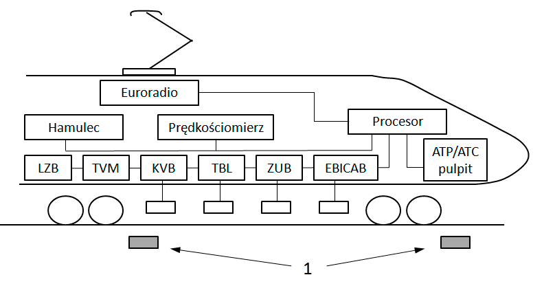 Ilustracja do pytania 37