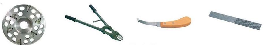 Ilustracja do pytania