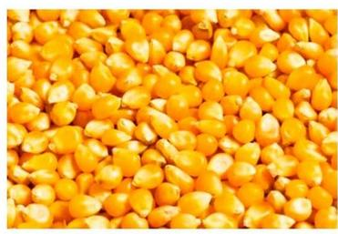 Ilustracja do pytania