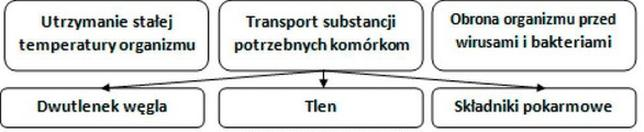 Ilustracja do pytania